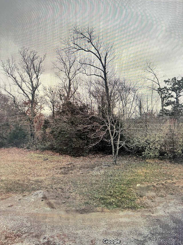 4199 Beckwith Rd, Mount Juliet, TN 37122 - photo 1