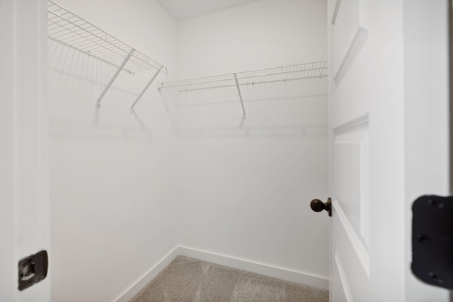 walk in closet with carpet