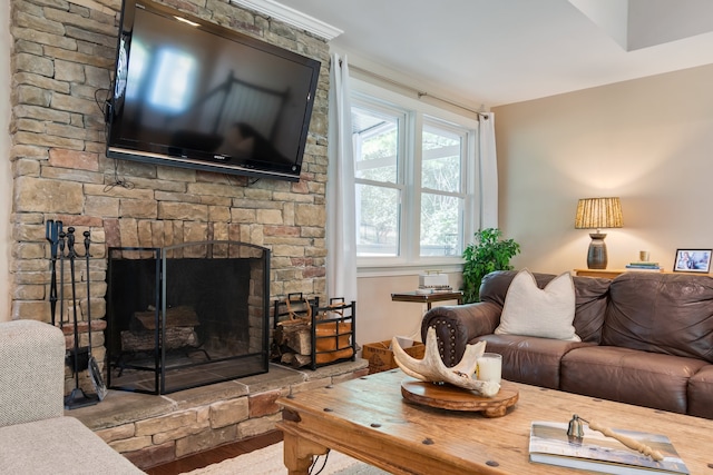 living room featuring hardwood / wood-style flooring and a fireplace