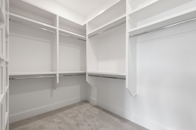 spacious closet featuring light carpet