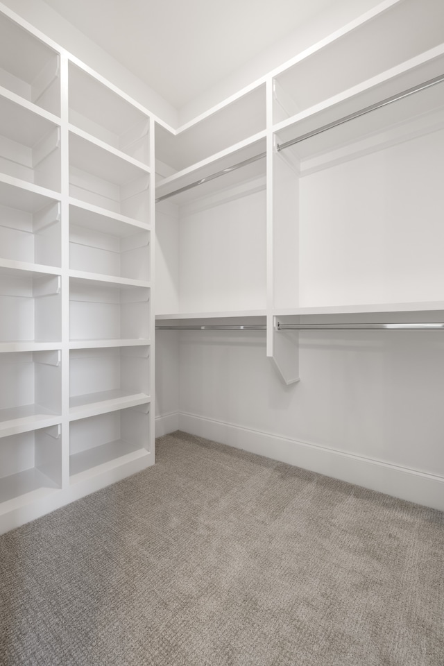 walk in closet featuring carpet flooring