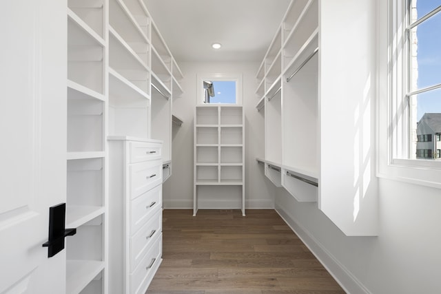 spacious closet with dark wood-type flooring