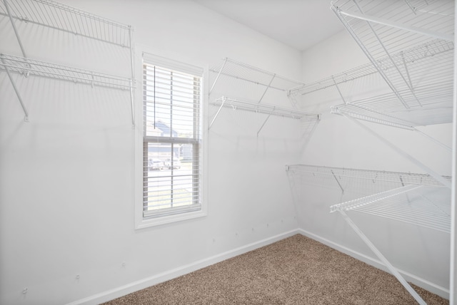 spacious closet with carpet floors