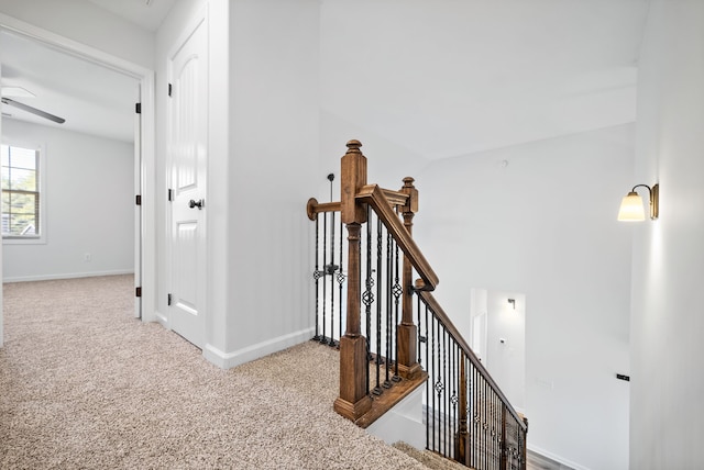 hallway with carpet flooring