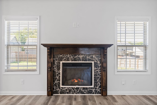 room details featuring a premium fireplace and hardwood / wood-style flooring