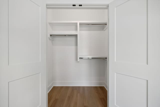 view of closet