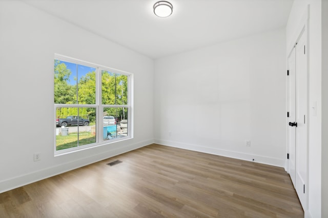 spare room featuring wood-type flooring