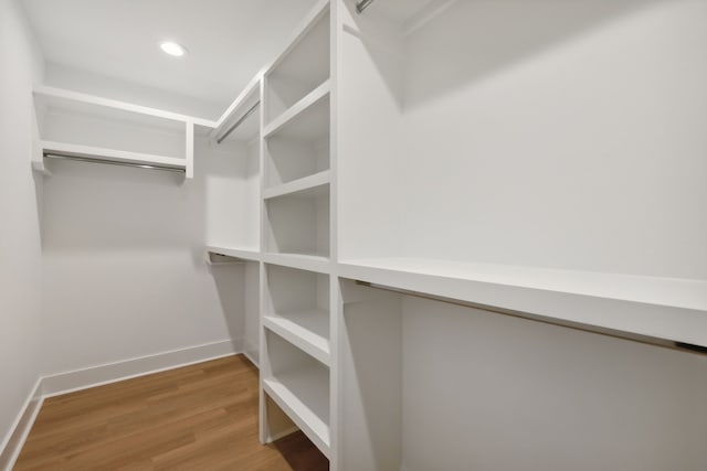 spacious closet with wood-type flooring