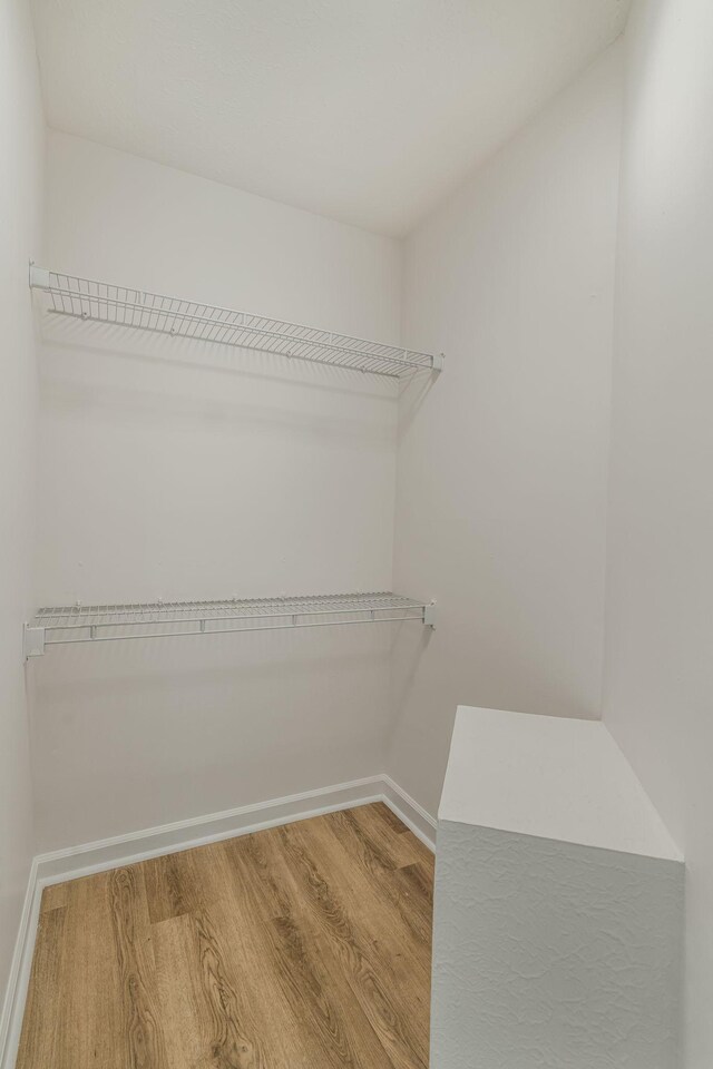 spacious closet featuring light wood-type flooring