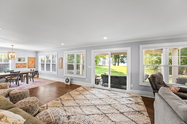 living room featuring crown molding, an inviting chandelier, and hardwood / wood-style flooring