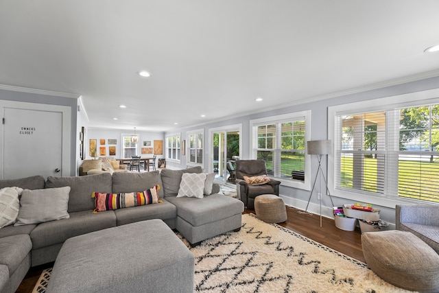 living room with crown molding and wood-type flooring