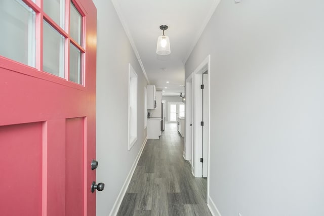 corridor featuring dark hardwood / wood-style floors and ornamental molding