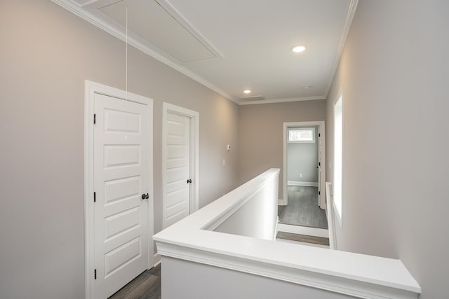 corridor featuring dark wood-type flooring and crown molding