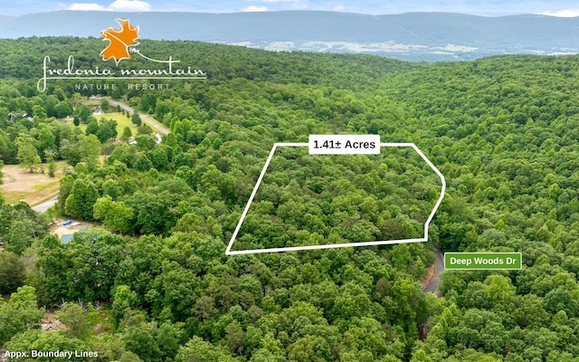 205 Deep Woods Dr, Dunlap TN, 37327 land for sale