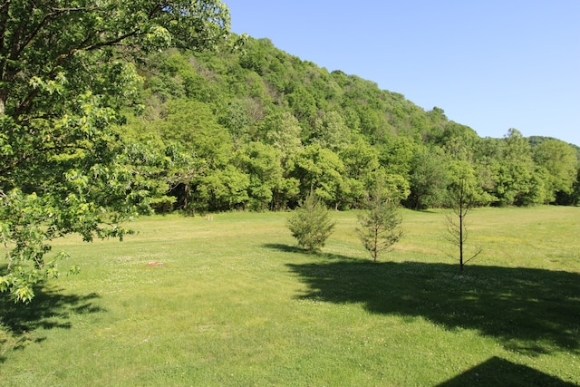 view of yard with a rural view