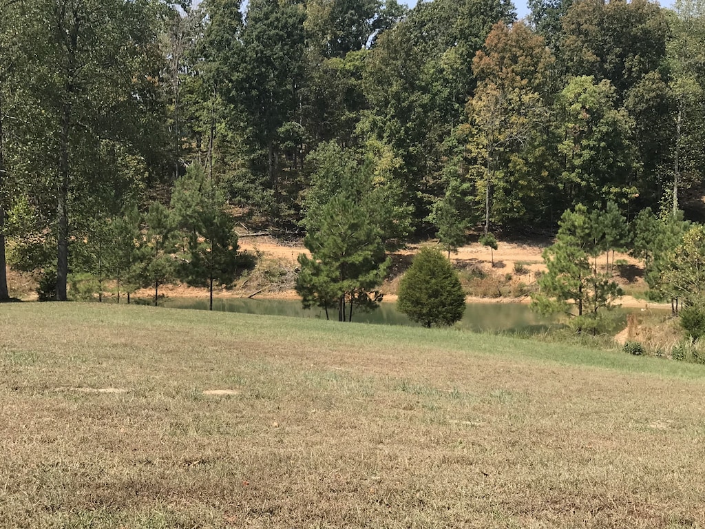 776 Norris Hollow Rd, Vanleer, TN 37181