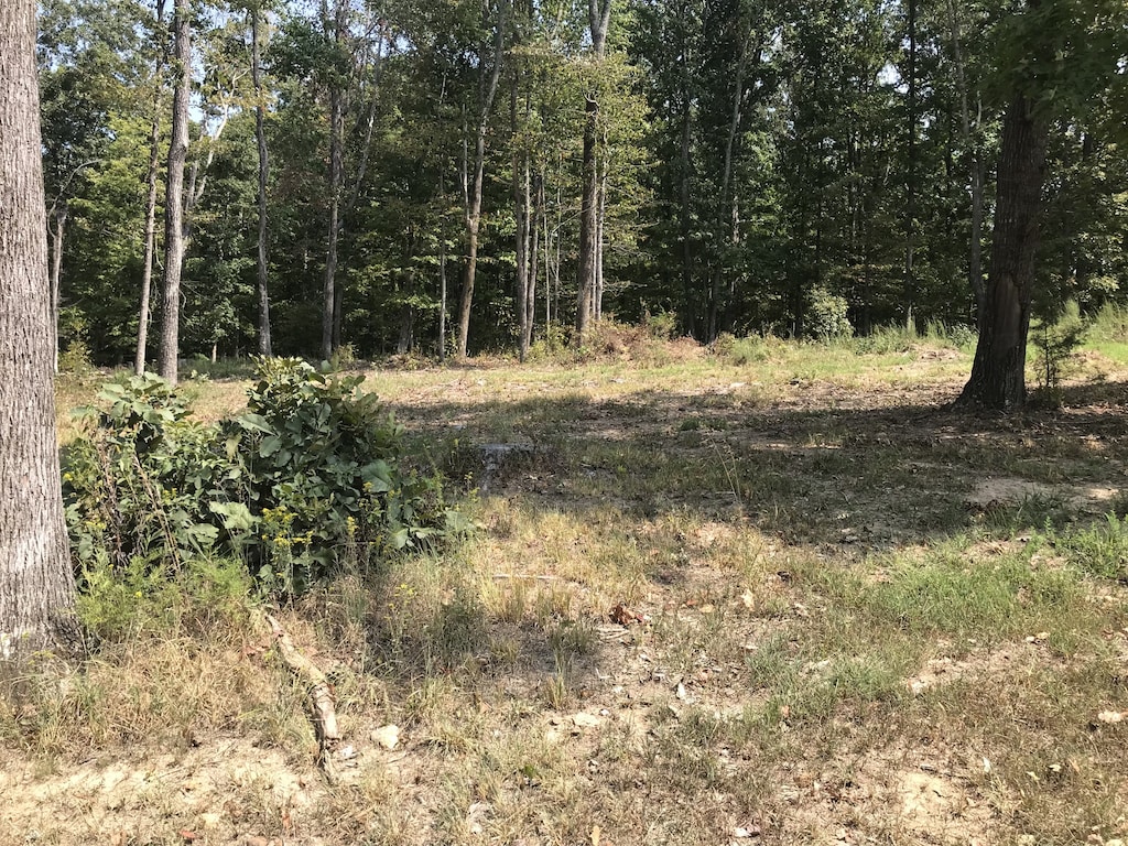 776 Norris Hollow Rd, Vanleer, TN 37181