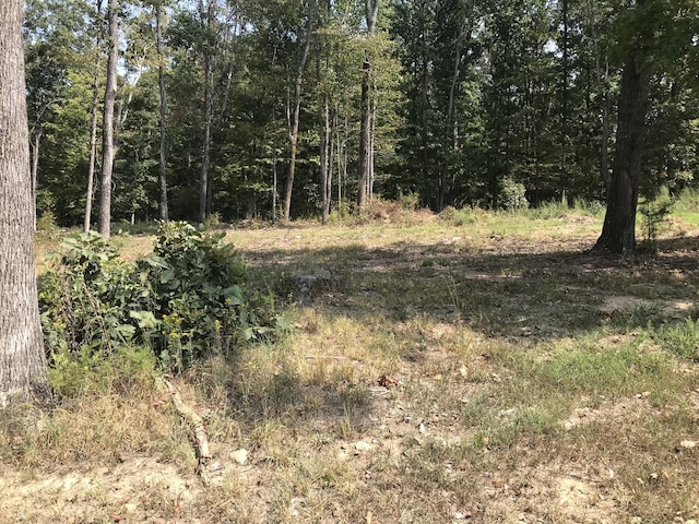 776 Norris Hollow Rd, Vanleer, TN 37181