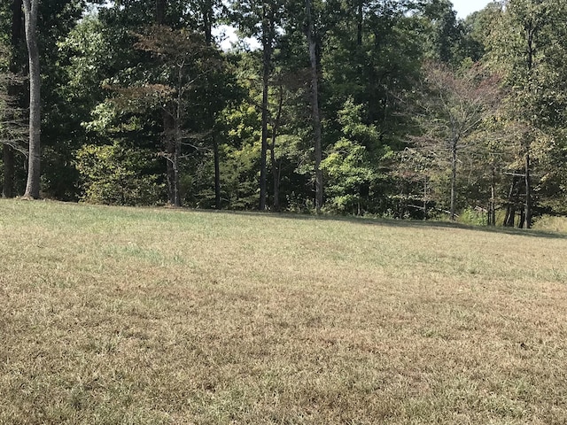 776 Norris Hollow Rd, Vanleer, TN 37181