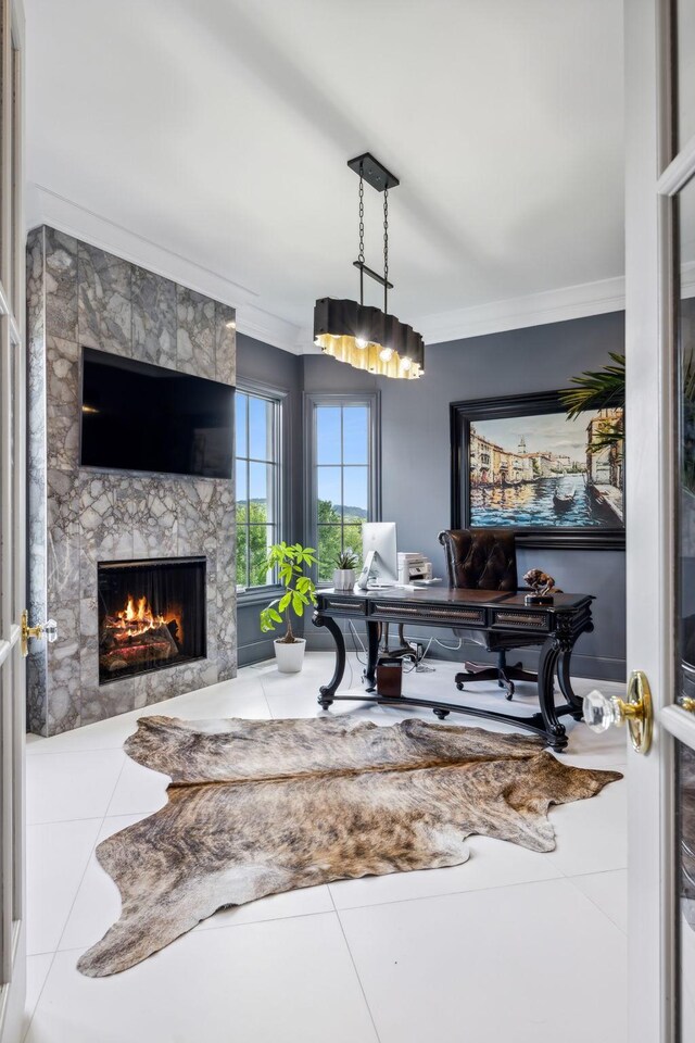 interior space featuring crown molding and a large fireplace