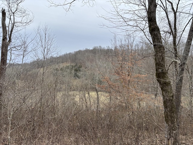 0 Cathcart Rd, Frankewing TN, 38459 land for sale