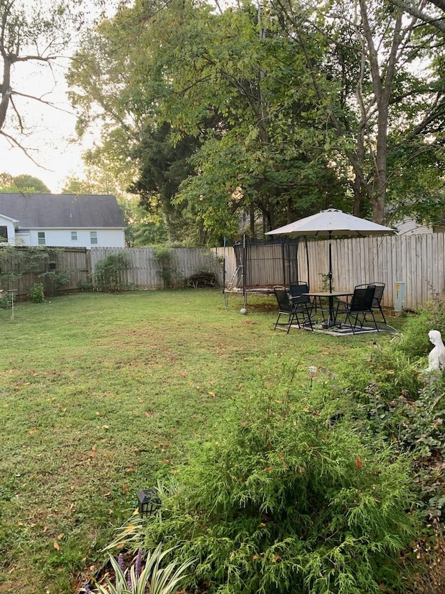 view of yard with a patio area