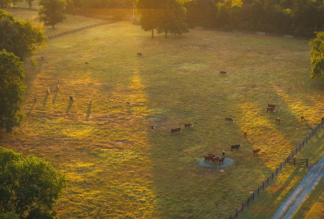 birds eye view of property featuring a rural view