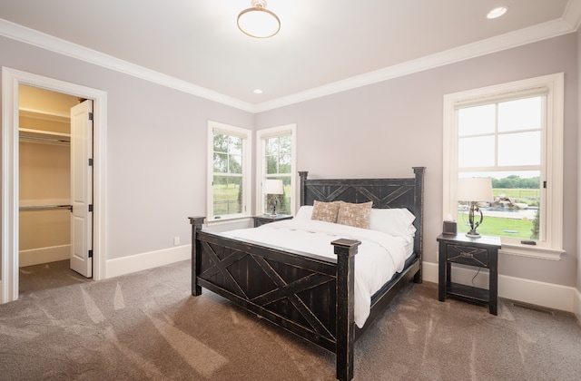 bedroom featuring ornamental molding, carpet flooring, a walk in closet, and a closet