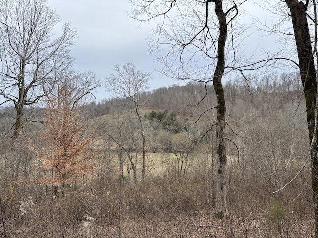 0 Cathcart Rd, Frankewing TN, 38459 land for sale