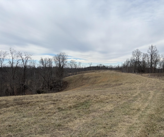 0 Cathcart Rd, Frankewing TN, 38459 land for sale