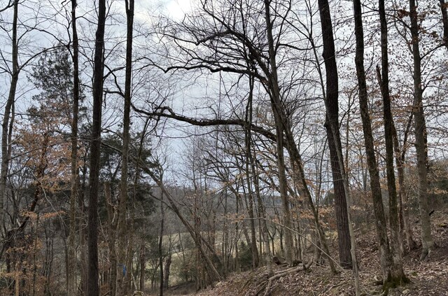 0 Cathcart Rd, Frankewing, TN 38459
