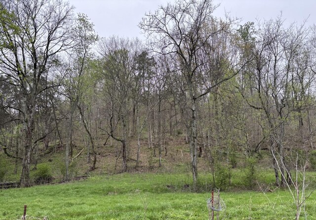 0 Cathcart Rd, Frankewing, TN 38459