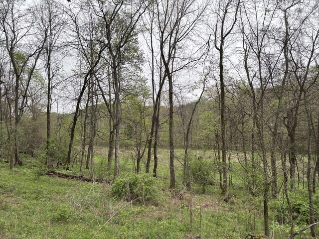 0 Cathcart Rd, Frankewing, TN 38459