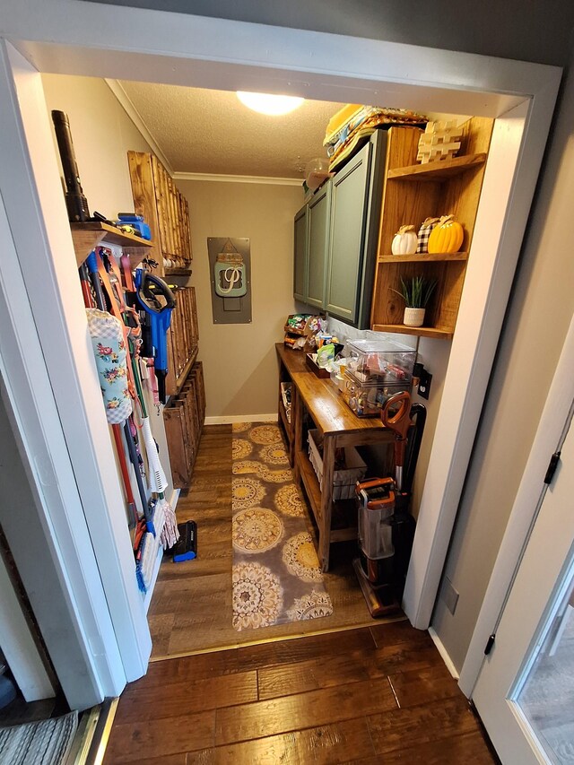 walk in closet featuring dark wood-type flooring