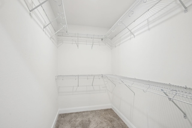 walk in closet featuring carpet