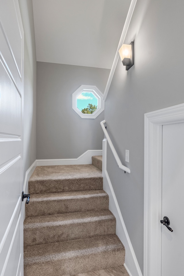 staircase featuring carpet flooring