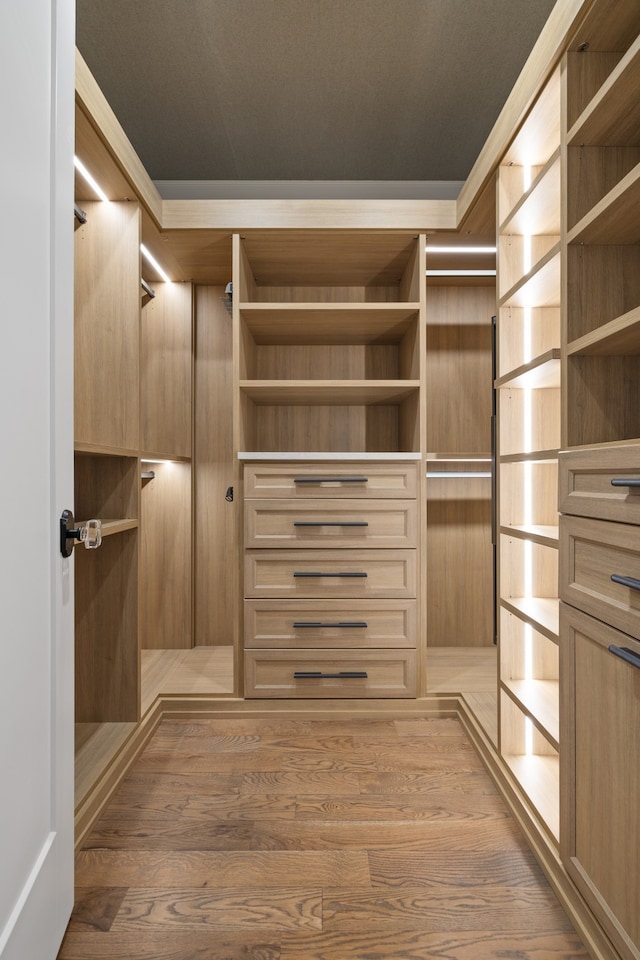 spacious closet featuring light wood-type flooring