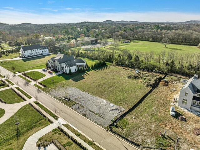 8903 Palmer Way, Brentwood, TN 37027 - photo 6