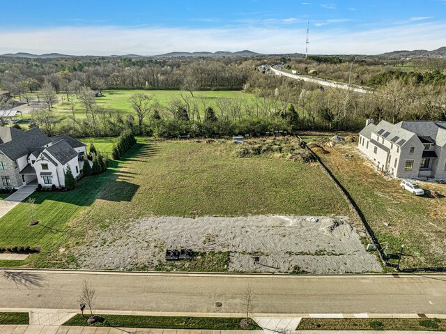 8903 Palmer Way, Brentwood, TN 37027 - photo 8