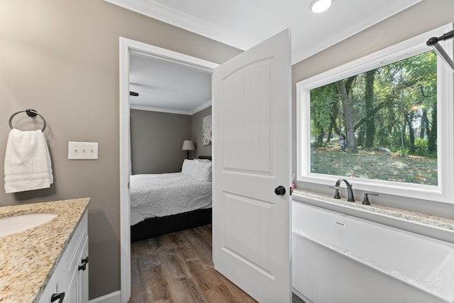 bathroom featuring vanity, ornamental molding, and wood-type flooring