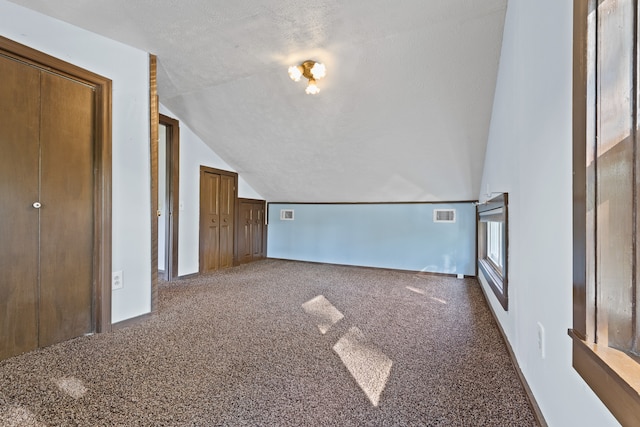 additional living space featuring vaulted ceiling, a textured ceiling, and carpet floors