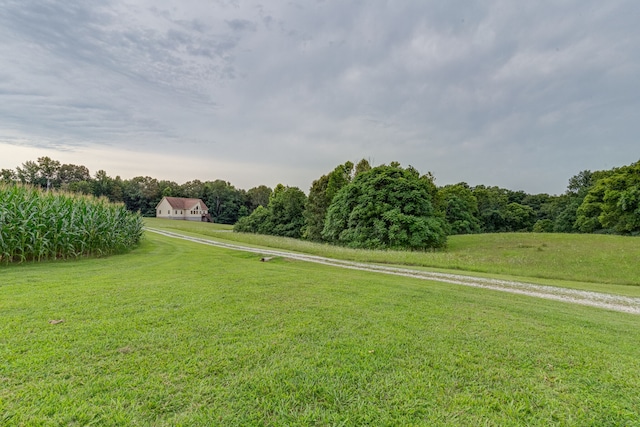 view of yard featuring a rural view