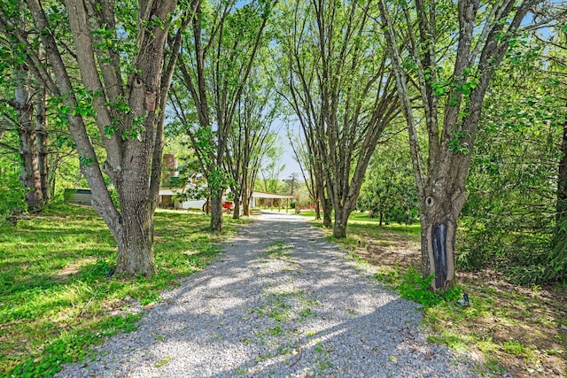 view of street