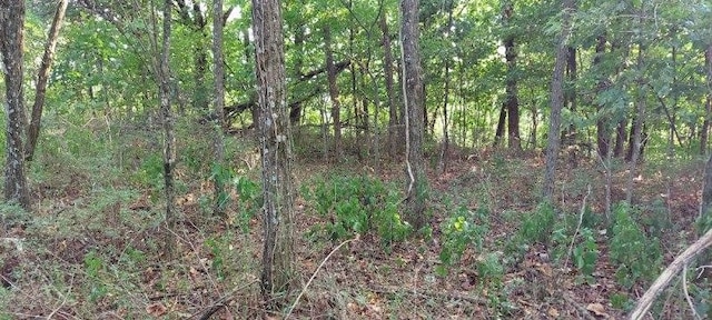 Listing photo 3 for 0 Emily Ln, Bell Buckle TN 37020