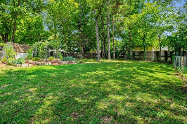 view of yard with a storage shed