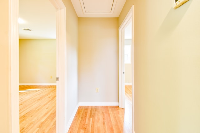 hallway featuring light wood-type flooring