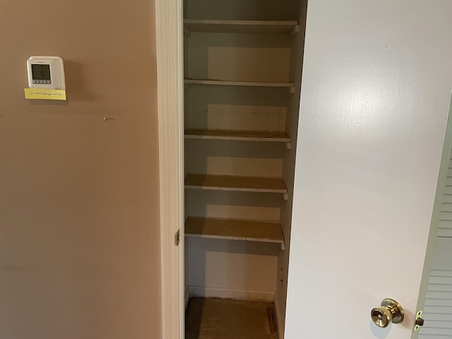 view of closet