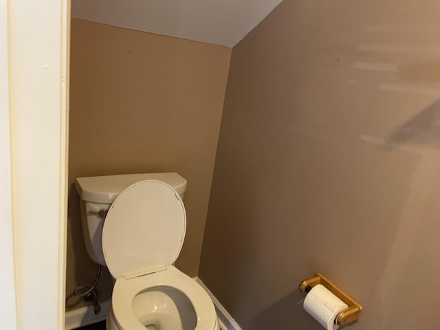 bathroom with vaulted ceiling and toilet