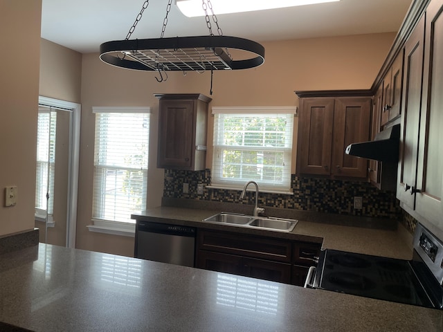 kitchen featuring a wealth of natural light, sink, range hood, and appliances with stainless steel finishes