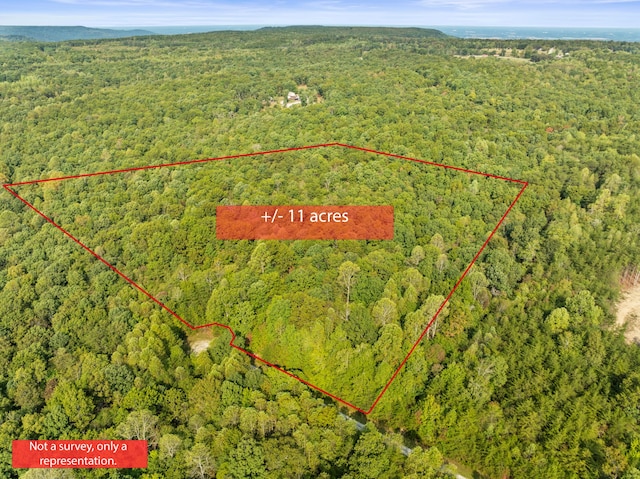 3 Rd Ct, Altamont TN, 37301 land for sale